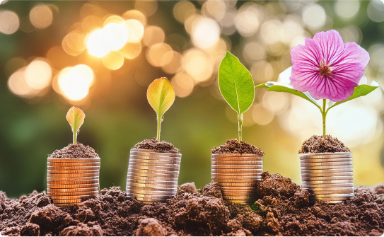 flower sprouts and coins